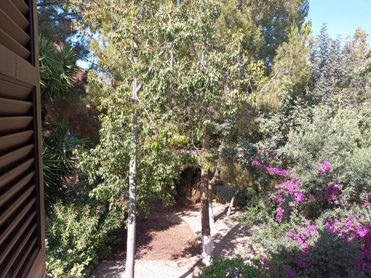 Paphos Limnaria Deluxe Maisonette מראה חיצוני תמונה